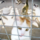 Illustration for article titled There Are Way More Stray Cats Than Dogs In Detroit